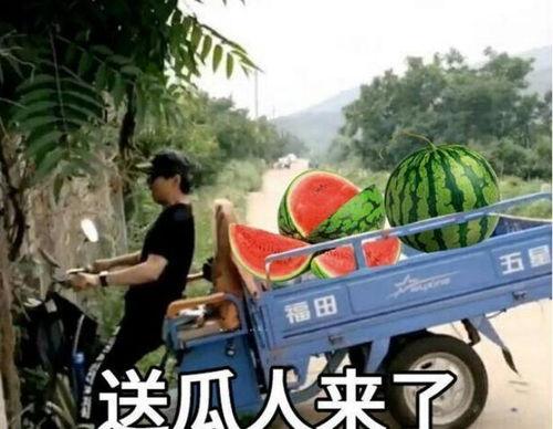 最近大瓜事件,揭秘明星隐私风波背后的真相